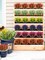 8-Bundle Artificial Outdoor Flowers – Faux Lavender and Fern Plants, UV-Resistant Plastic Shrubs for Indoor/Outdoor Hanging Decorations (Fuchsia)